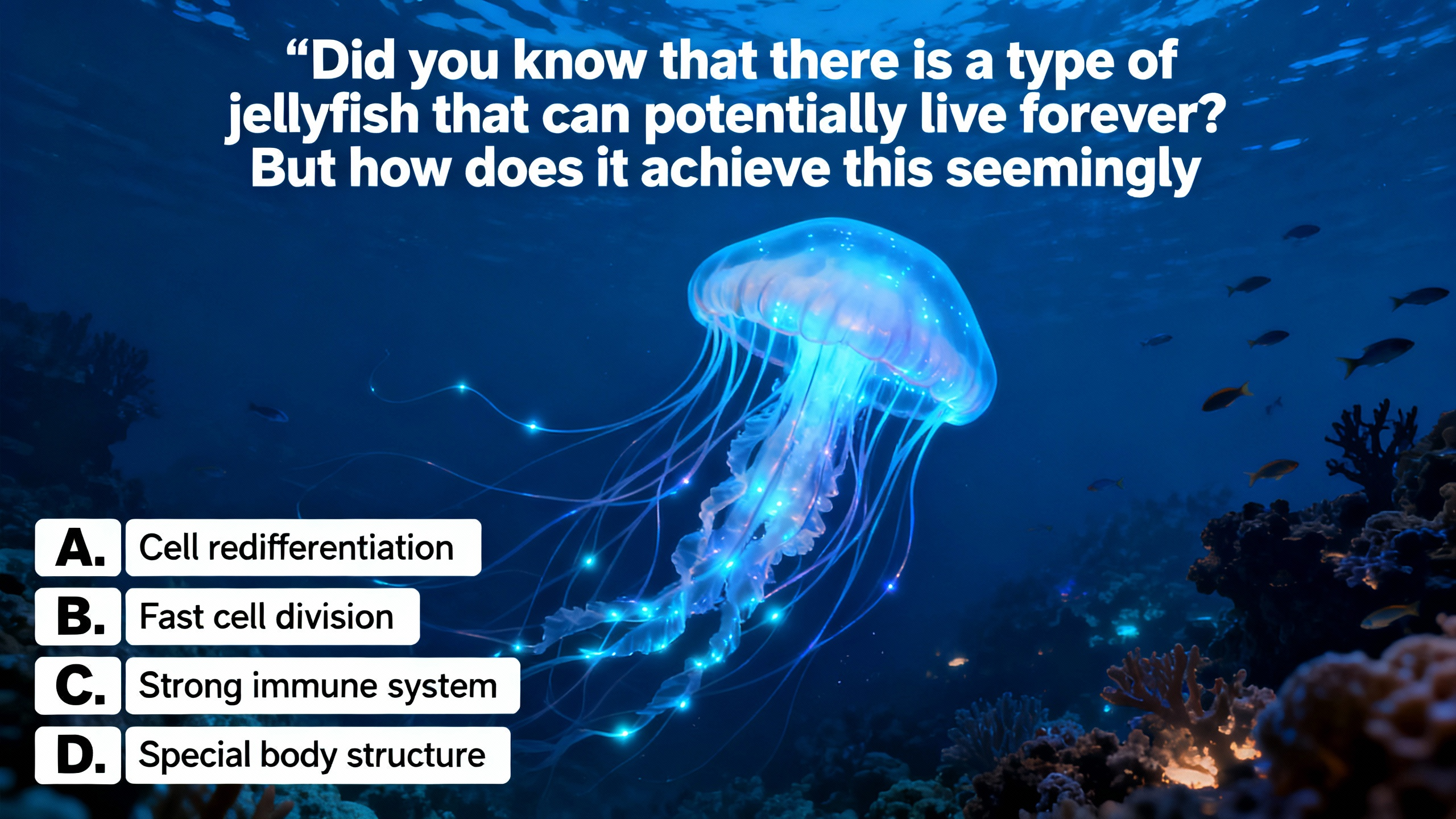 Did you know that there is a type of jellyfish that can potentially live forever? But how does it achieve this seemingly impossible feat? - Preview Image