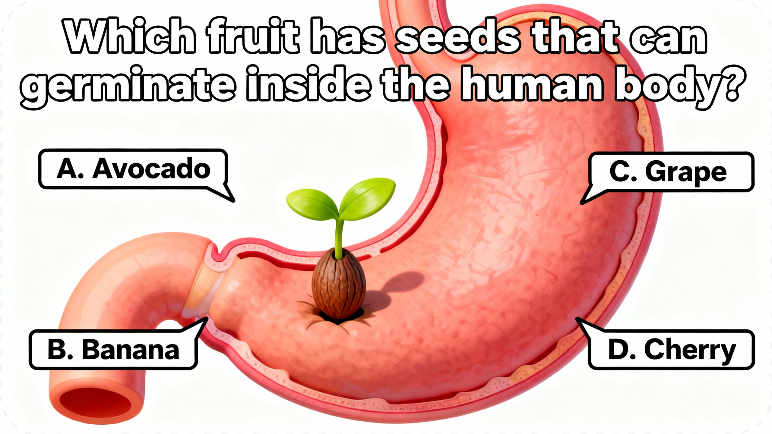 Which fruit has seeds that can germinate inside the human body? - Preview image
